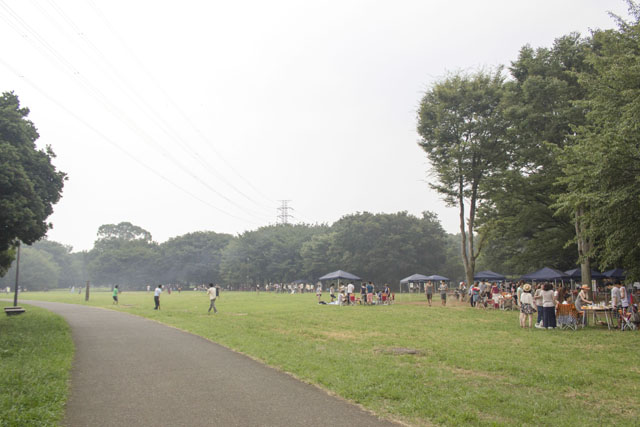 公園内の雰囲気